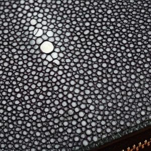 Amazon | [SAAD(サード)]エイ革/スティングレイレザー コイン